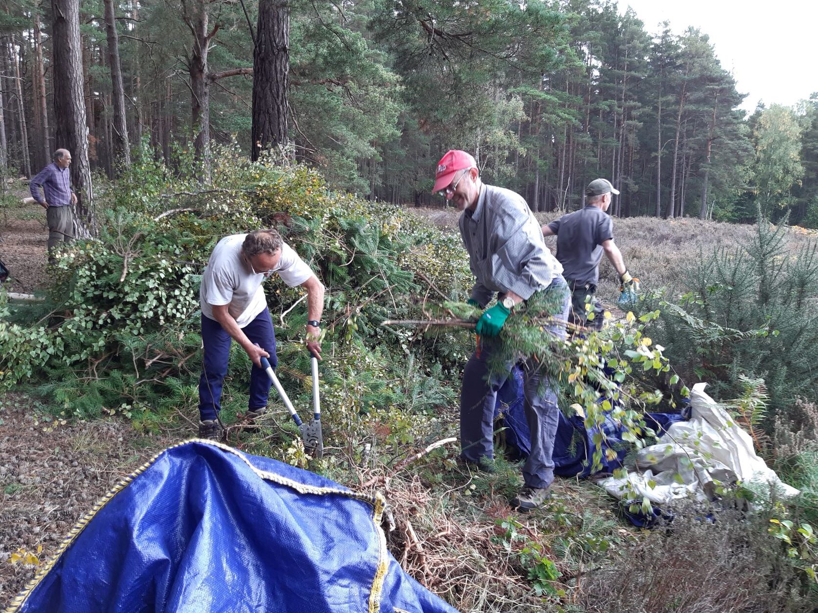 SUNDAY VOLUNTEERING OPPORTUNITIES ON HORSELL COMMON AUTUMN/WINTER 2026-27